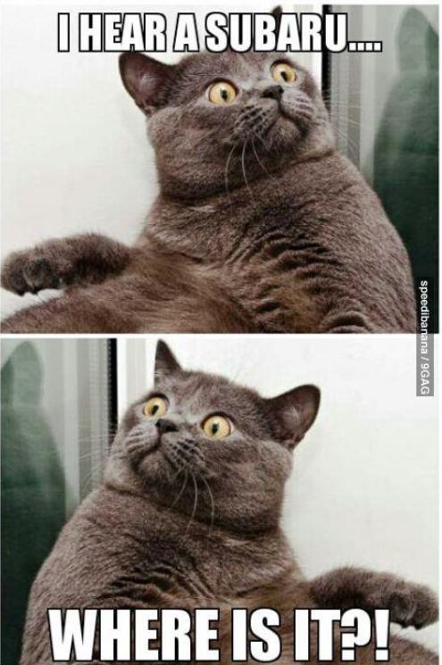 Tickets on sale soon