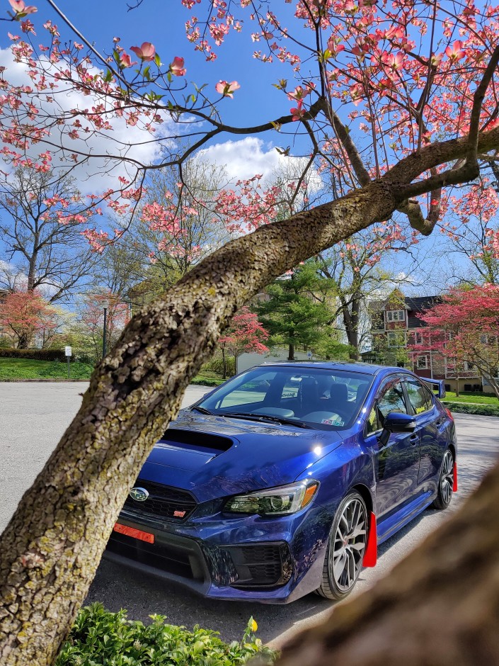 Heidi M's 2020 WRX STI Limited