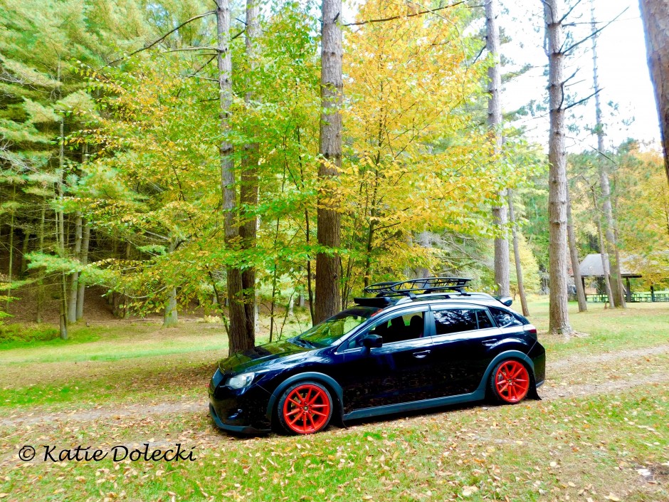 Eli Bish's 2015 Crosstrek Premium