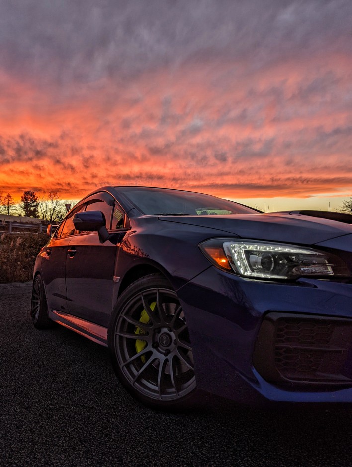 Heidi M's 2020 WRX STI Limited