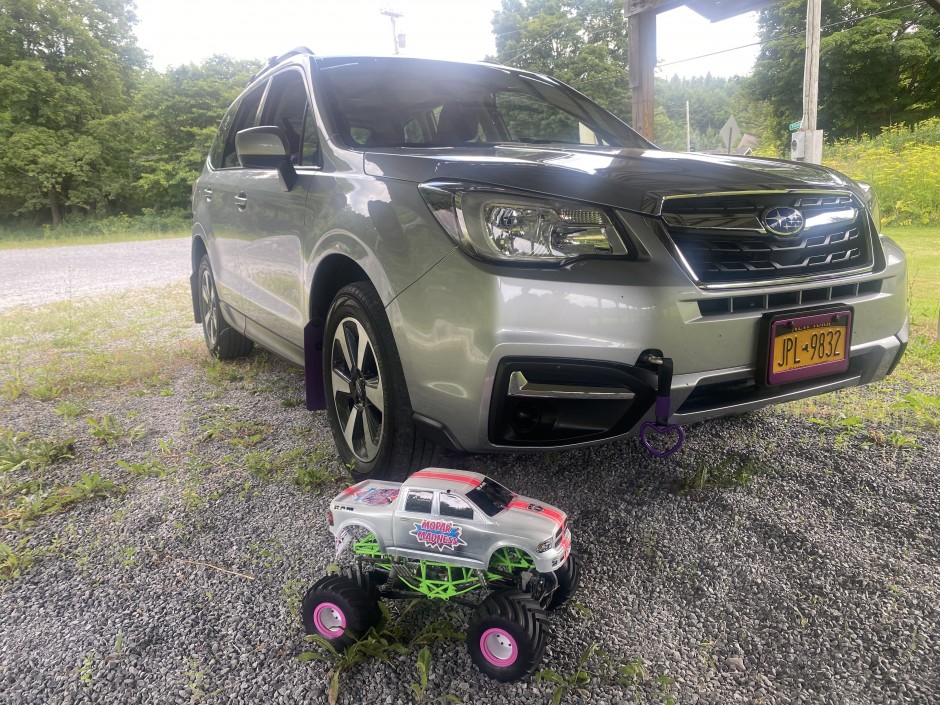 Deanna C's 2018 Forester 2.5i Premium