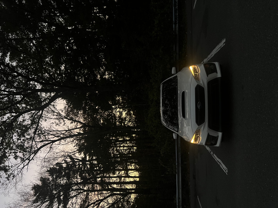 Daisy B's 2020 WRX Premium