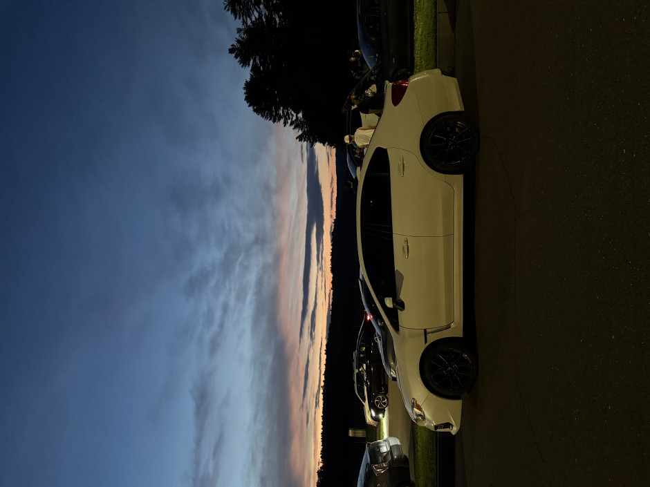 Daisy B's 2020 WRX Premium