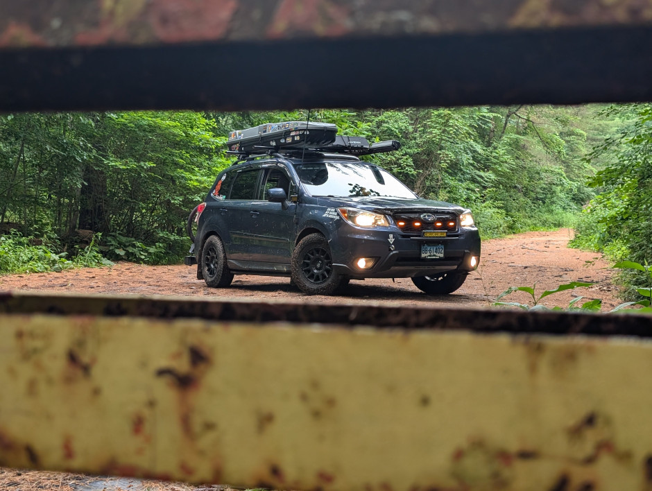 Kenneth G's 2014 Forester Limited