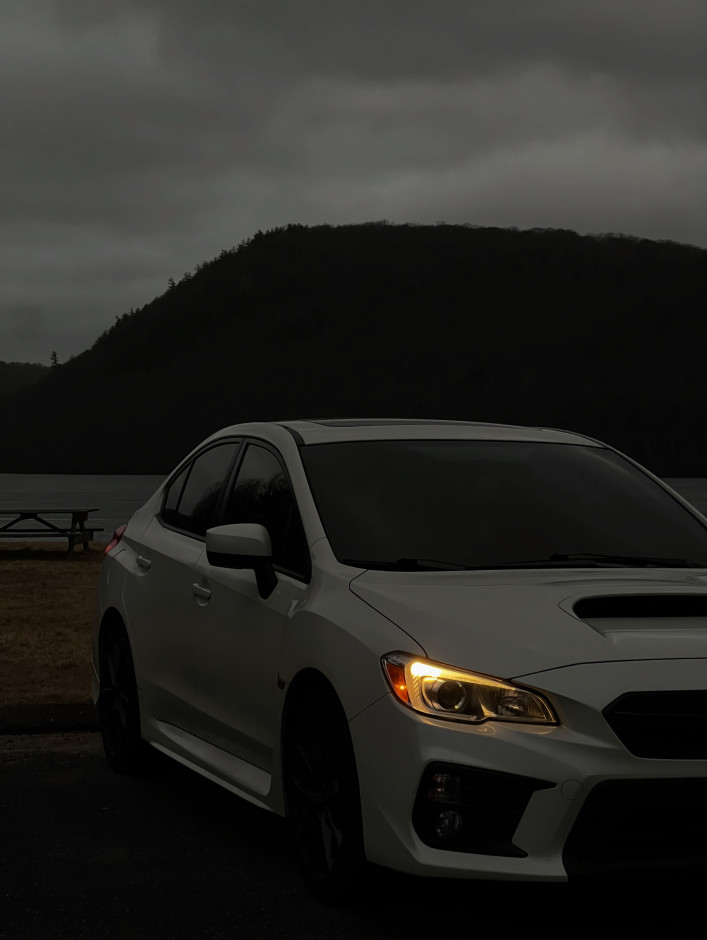 Daisy B's 2020 WRX Premium