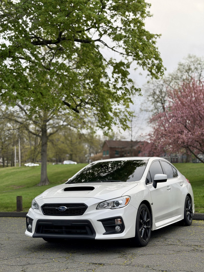 Daisy B's 2020 WRX Premium
