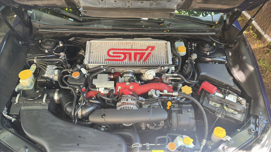 Denis Caciopoli 's 2020 WRX STI Limited