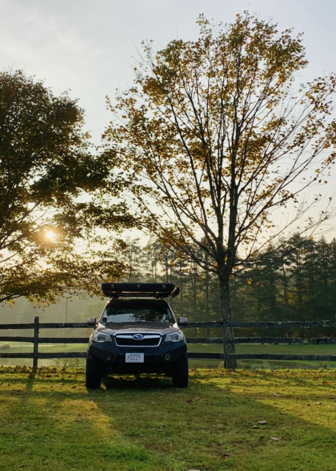 Sam  E's 2015 Forester 2.5i