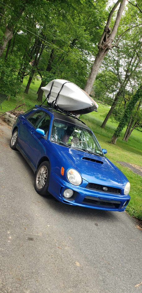 Mollie D's 2002 Impreza WRX