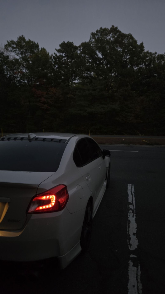 Daisy B's 2020 WRX Premium