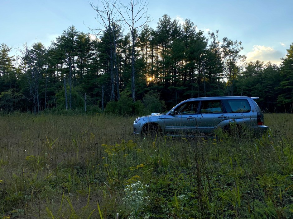 James  R's 2019 Impreza WRX Premium 