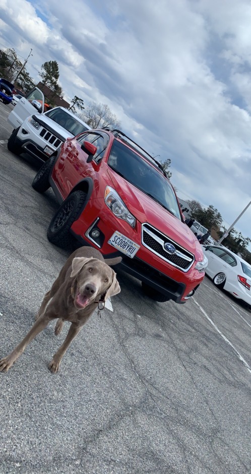 Fritz W's 2017 Crosstrek 