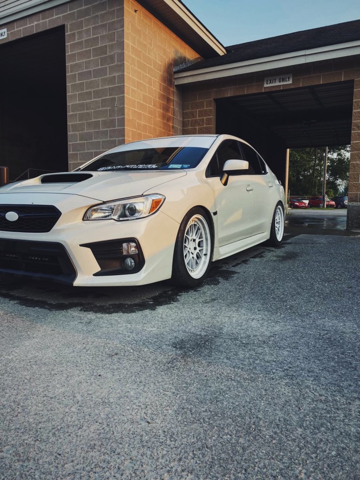 Nathan  Park's 2019 Impreza WRX Premium /Performance