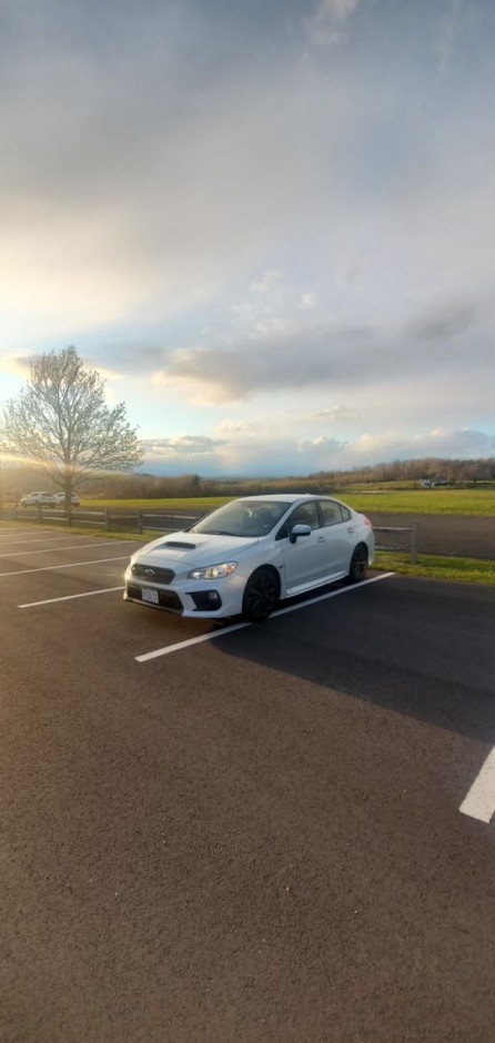 Daniela T's 2020 Impreza WRX 