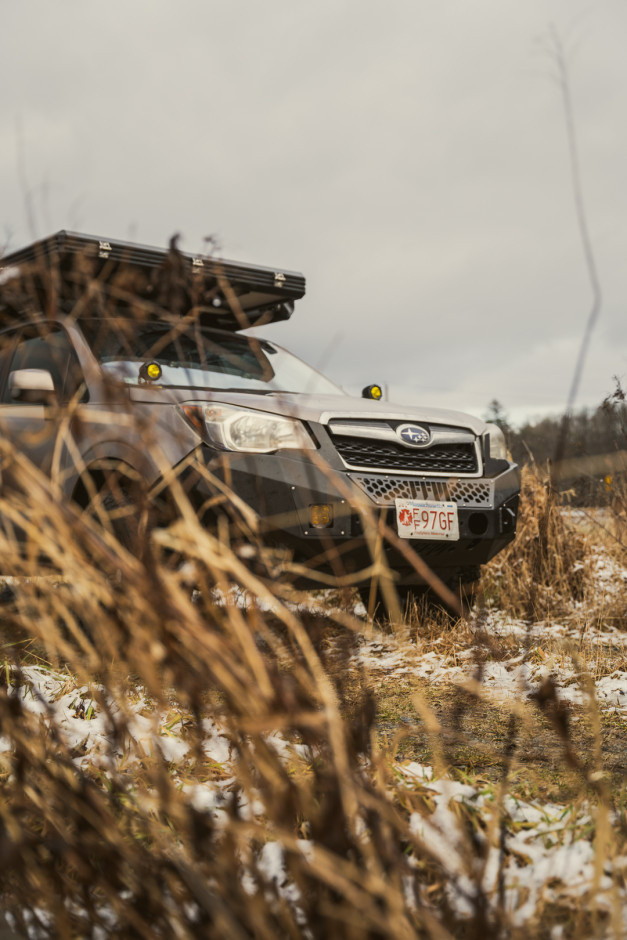 Sam Epstein 's 2015 Forester 2.5i