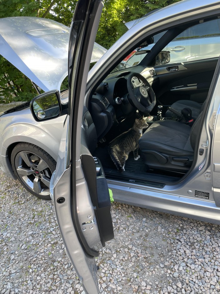 Jeff M's 2013 Forester 2.5XT