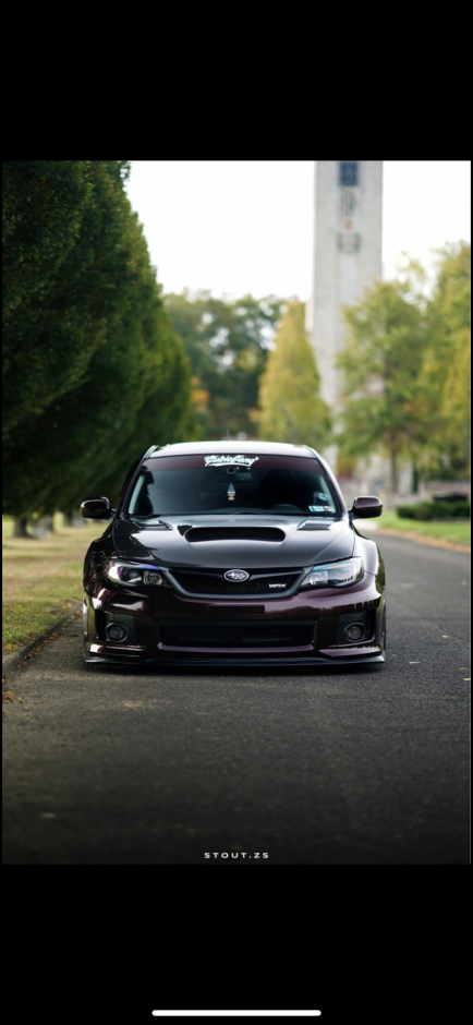 Alexandra K's 2013 Impreza WRX Limited