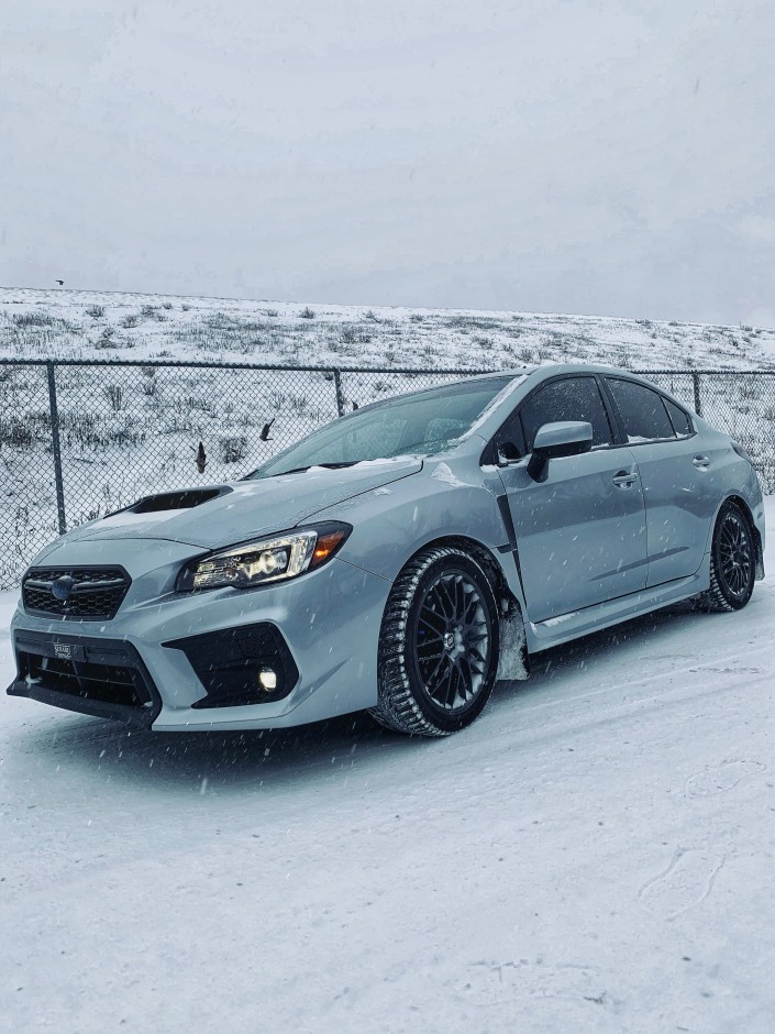 Daren M's 2019 Other WRX Limited