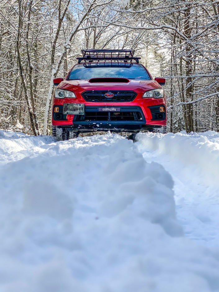 Shawna D's 2019 Impreza WRX Base