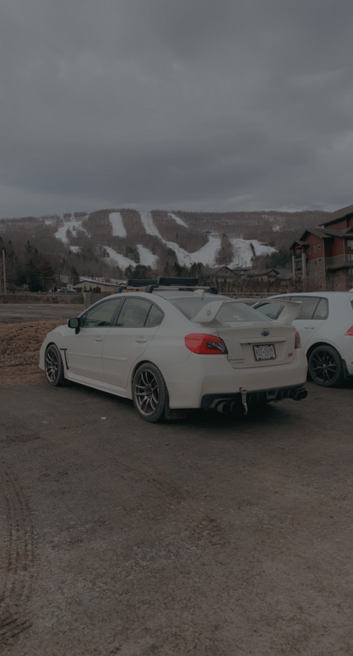 Gena Candelaria's 2019 Impreza WRX STI 