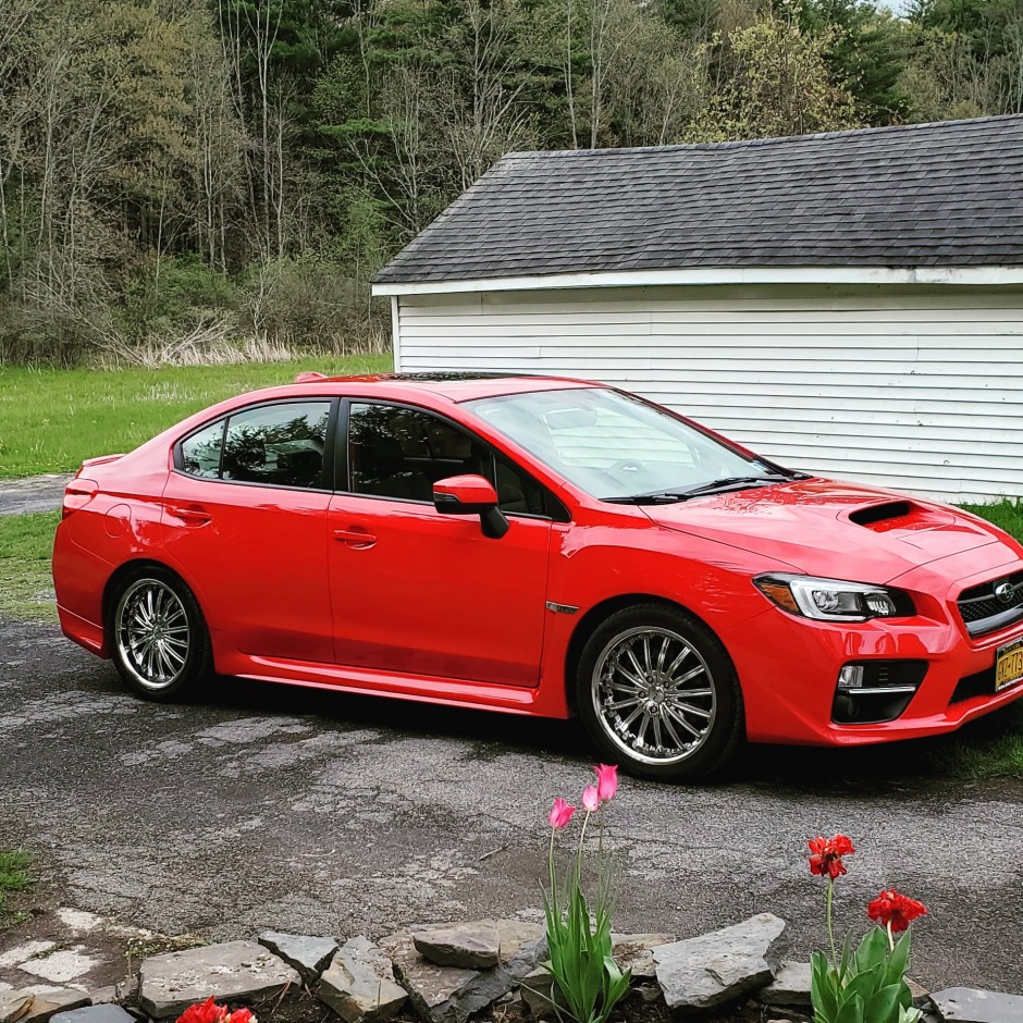 Robert G's 2017 Impreza WRX Limited 