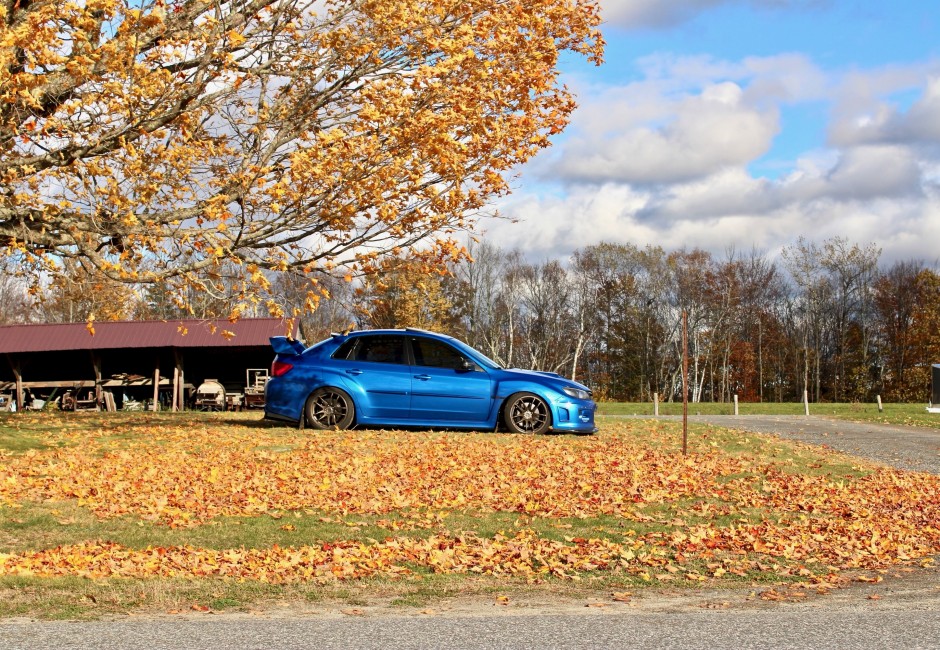 Logan Smith 's 2014 Impreza WRX STI Limited 