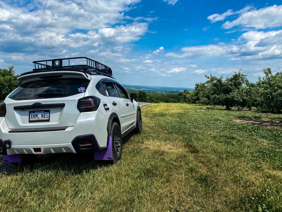 Lisa B's 2016 Crosstrek Limited 