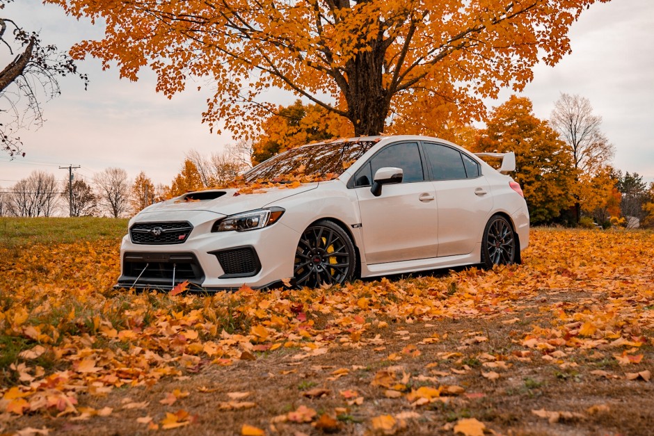 Sabrina Provost's 2019 Impreza WRX STI Base