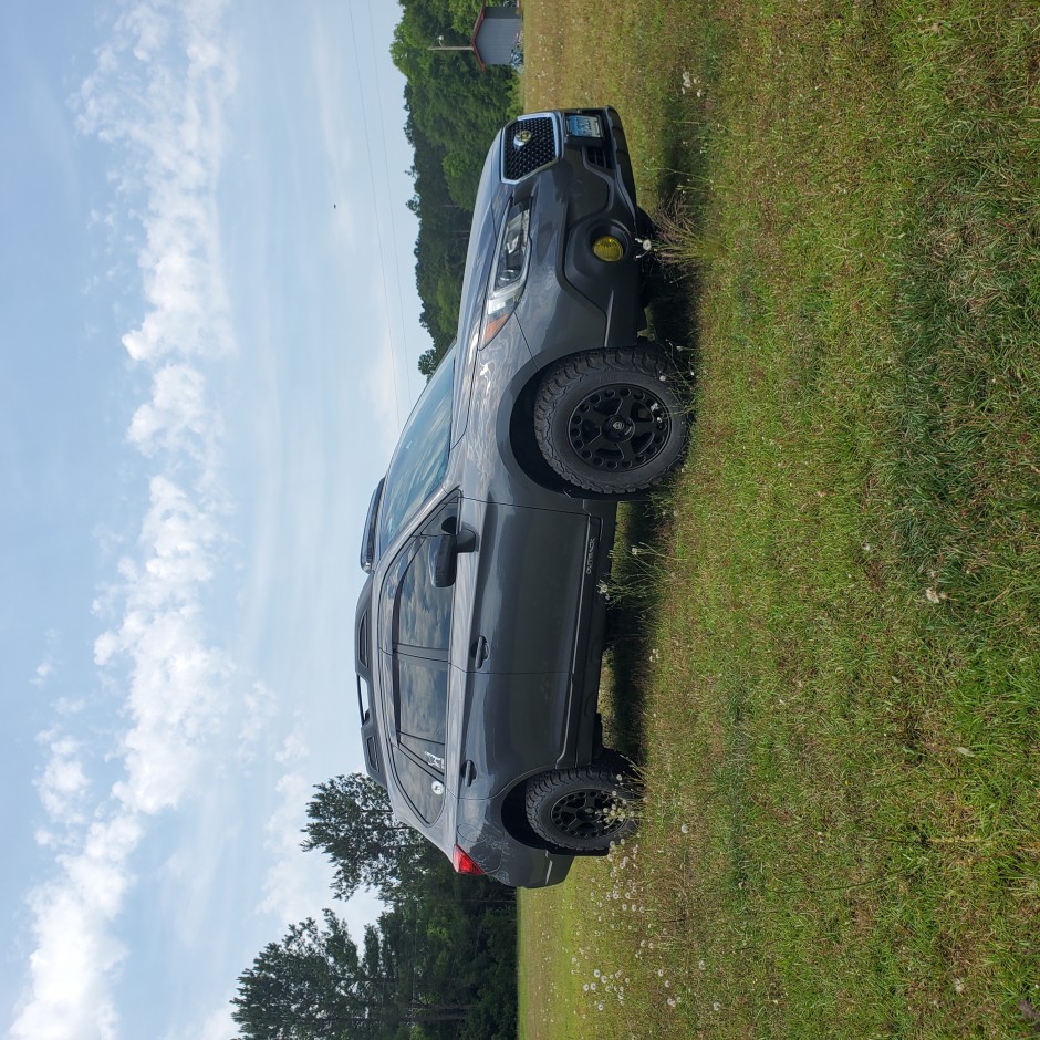 Emily Robinson's 2019 Outback Premium