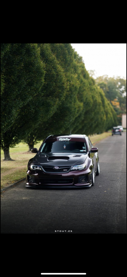 Alexandra K's 2013 Impreza WRX Limited