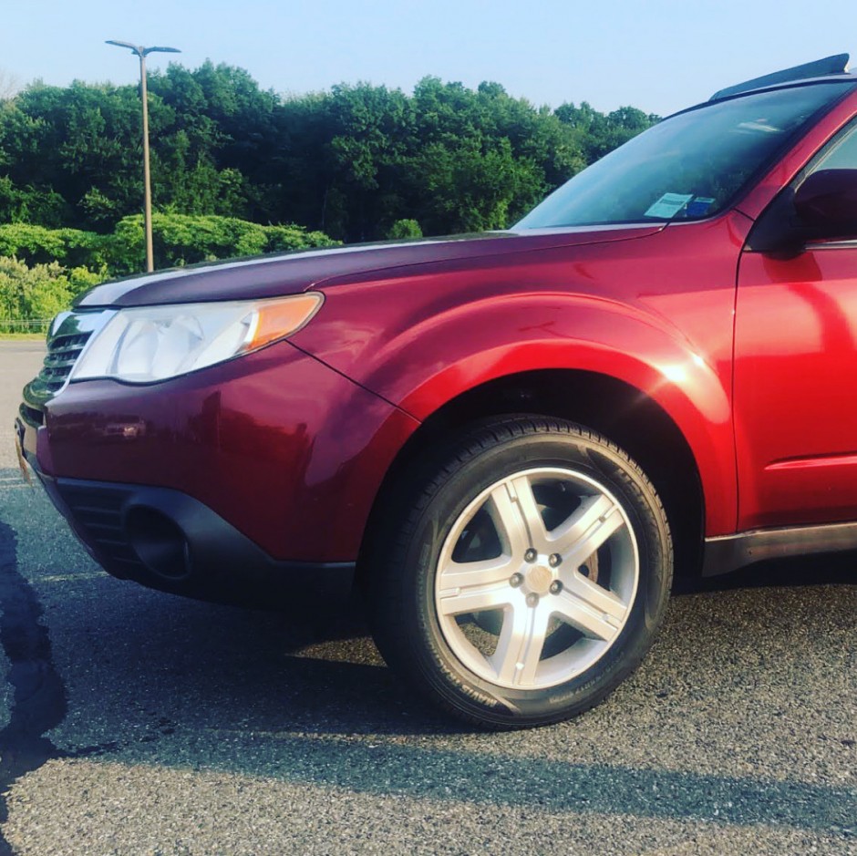 Courtney S's 2010 Forester 2.5X premium 