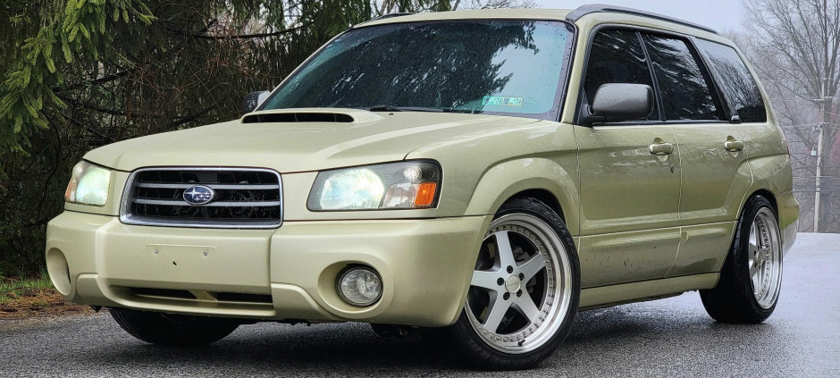 David T's 2004 Forester 2.5XT