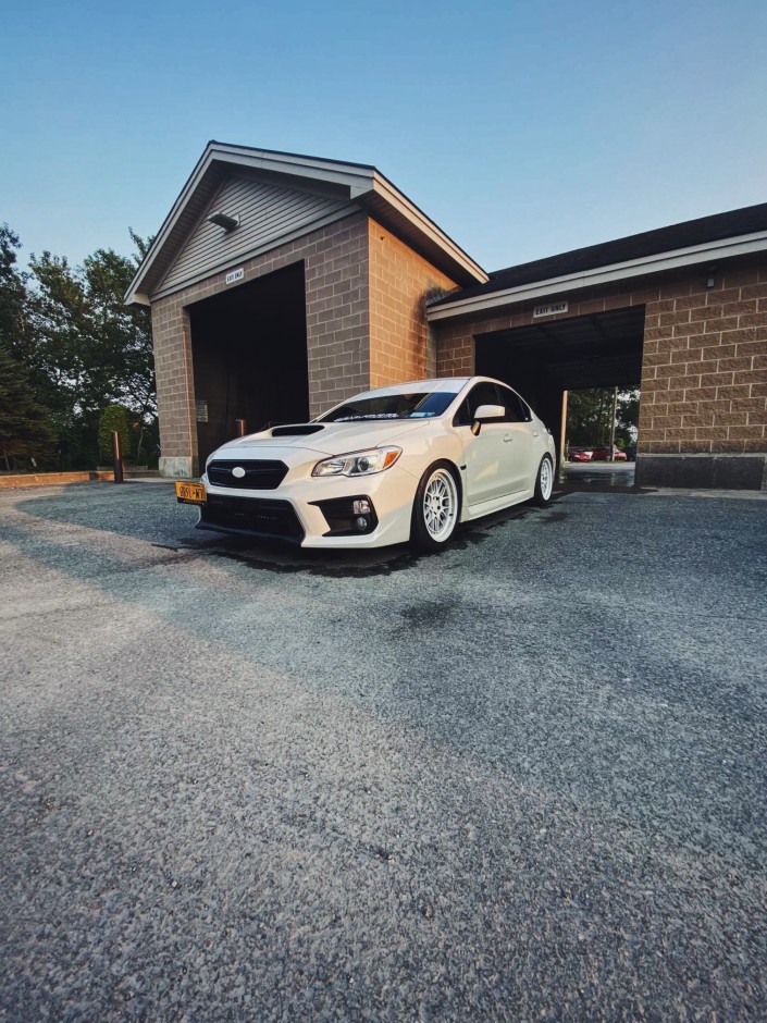 Nathan  Park's 2019 Impreza WRX Premium /Performance