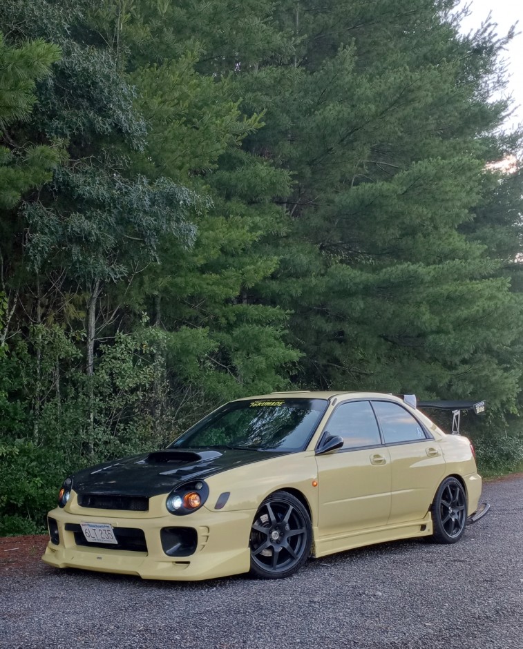 Matt R's 2002 Impreza WRX 