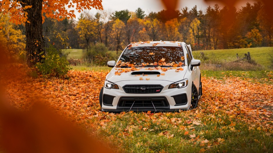 Sabrina Provost's 2019 Impreza WRX STI Base