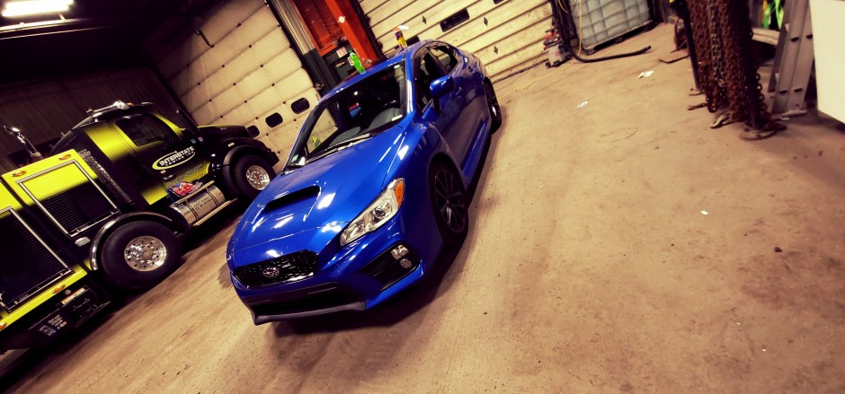 Tyler P's 2019 Impreza WRX Premium 