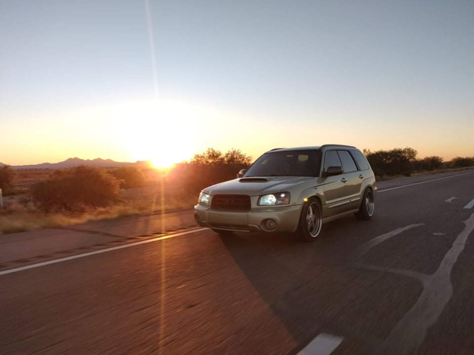 David T's 2004 Forester 2.5XT