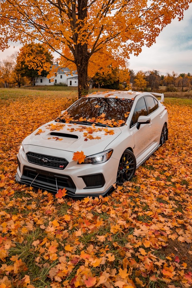 Sabrina Provost's 2019 Impreza WRX STI Base