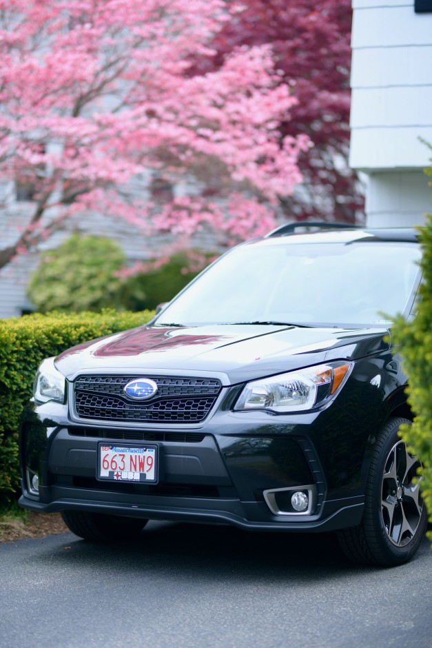 Ethan L's 2016 Forester XT Touring