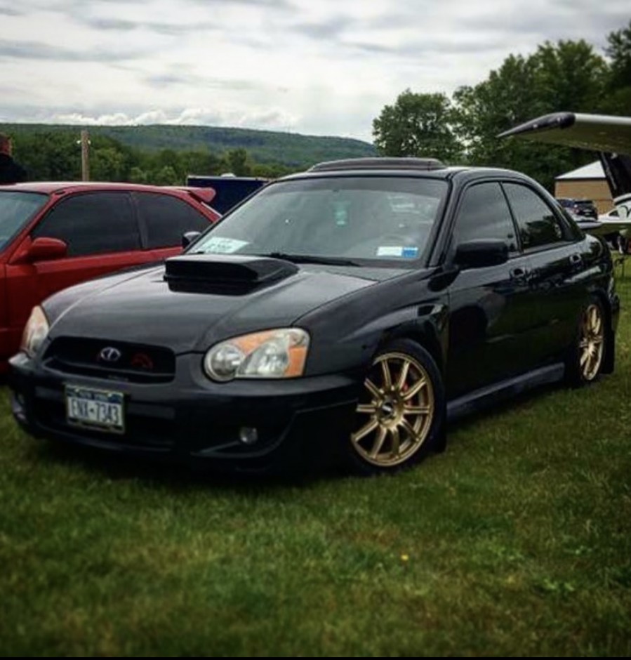 Grace P's 2004 Impreza WRX Premium