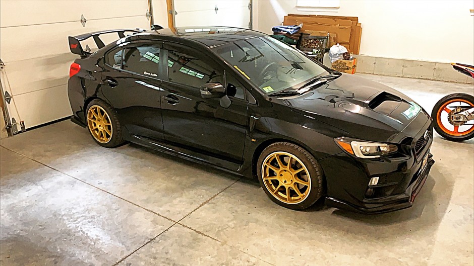 Dillon Amaral's 2017 Impreza WRX STI Base