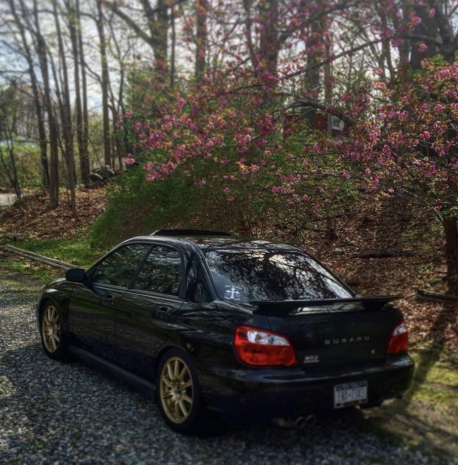 Grace P's 2004 Impreza WRX Premium