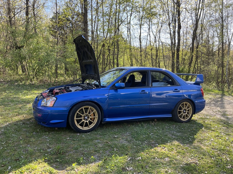 Evan S's 2004 Impreza WRX STI 