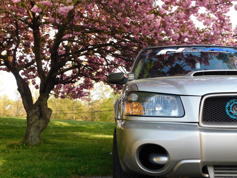 Kaitlyn A's 2005 Forester X