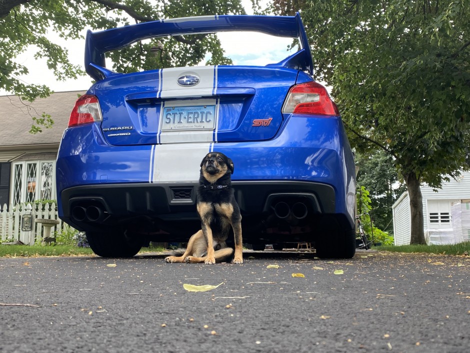 Eric Fisk's 2015 Impreza WRX STI Launch edition 