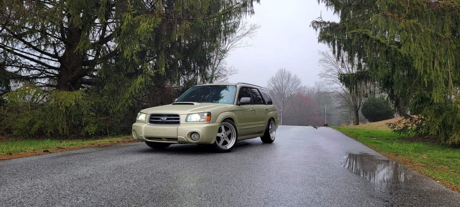 David T's 2004 Forester 2.5XT