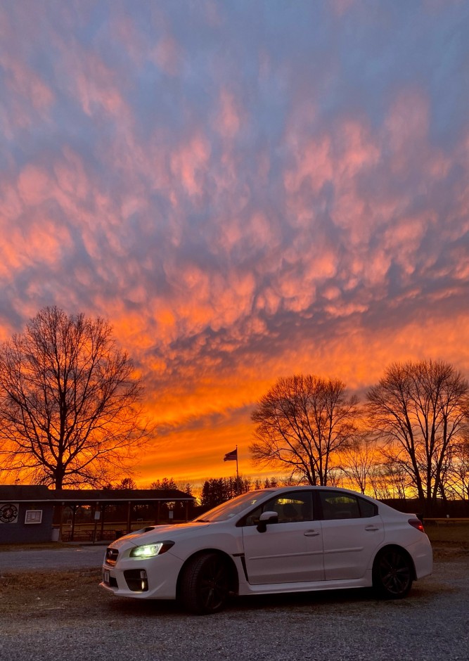 Ashley DelliPaoli's 2018 Impreza WRX Premium