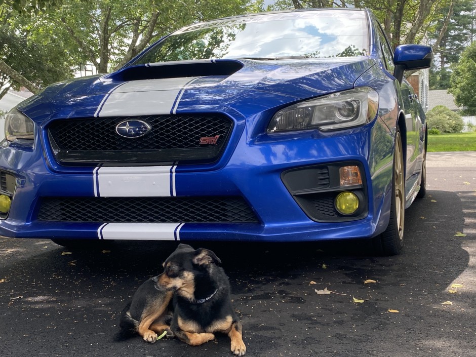 Eric Fisk's 2015 Impreza WRX STI Launch edition 