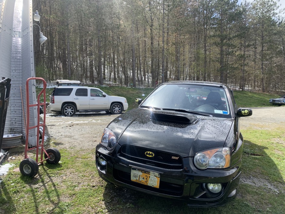 Shawn B's 2004 Impreza WRX STI STI