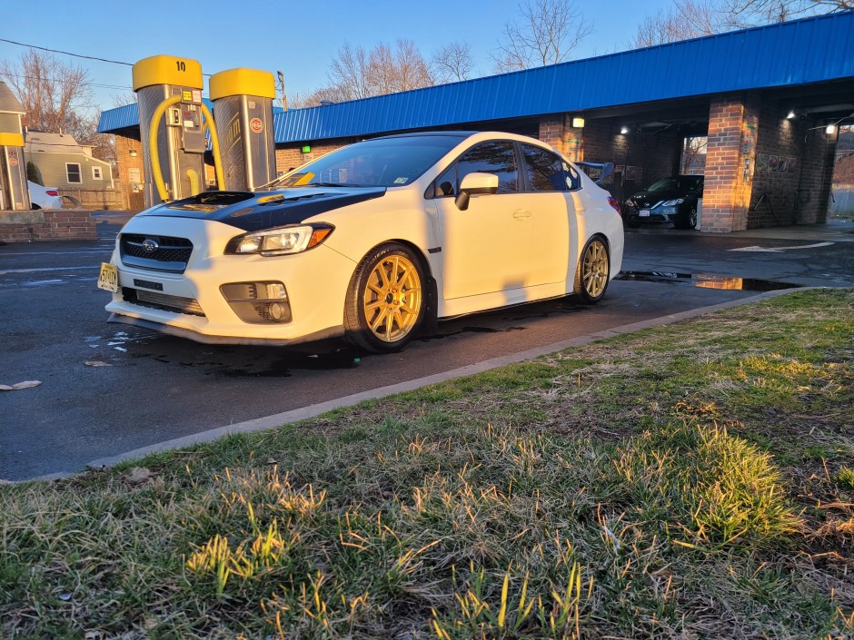 Daniella  B's 2016 Impreza WRX Limited